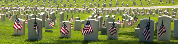 National_Cemetery_with_Gflags