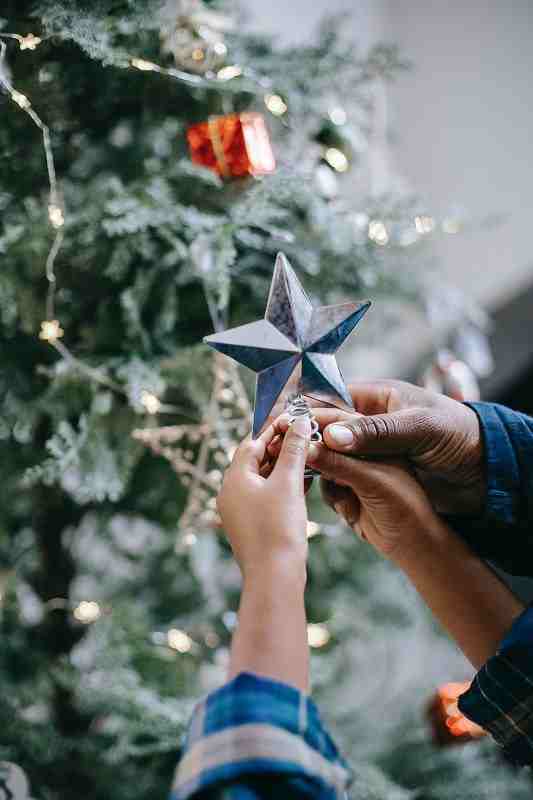 Father and son putting star on a christmas tree.